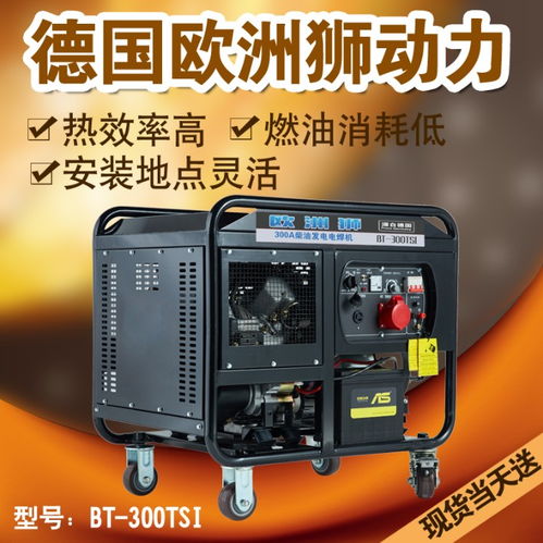 300a柴油發(fā)電電焊機(jī)報(bào)價(jià)詳解 性能與價(jià)格雙優(yōu)之選